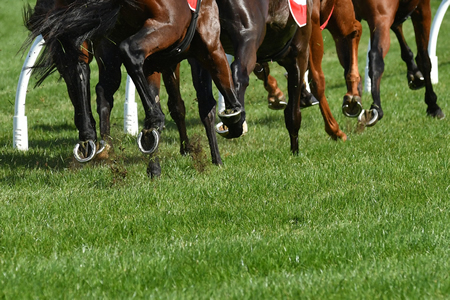 kilmore cup, fashions on the field, delorenzo, sothys